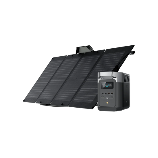 DELTA 2 + 1*110W Portable Solar Panel