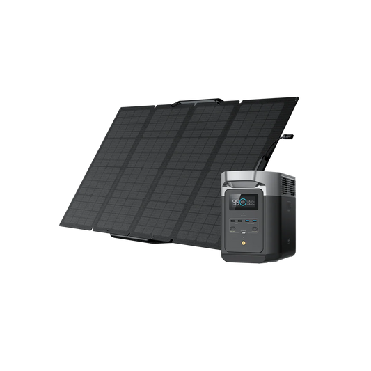DELTA 2 + 1*160W Portable Solar Panel