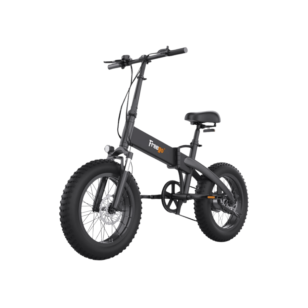Freego eFlex Raptor E1