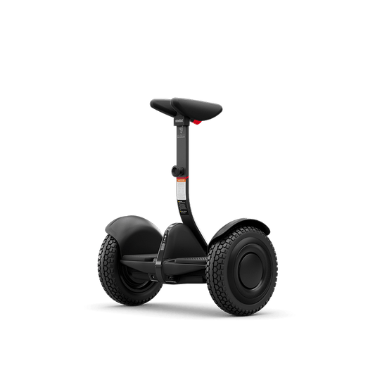 Ninebot S2 Self-Balancing